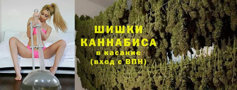 купить  сайты  Кизилюрт  Бошки Шишки план 